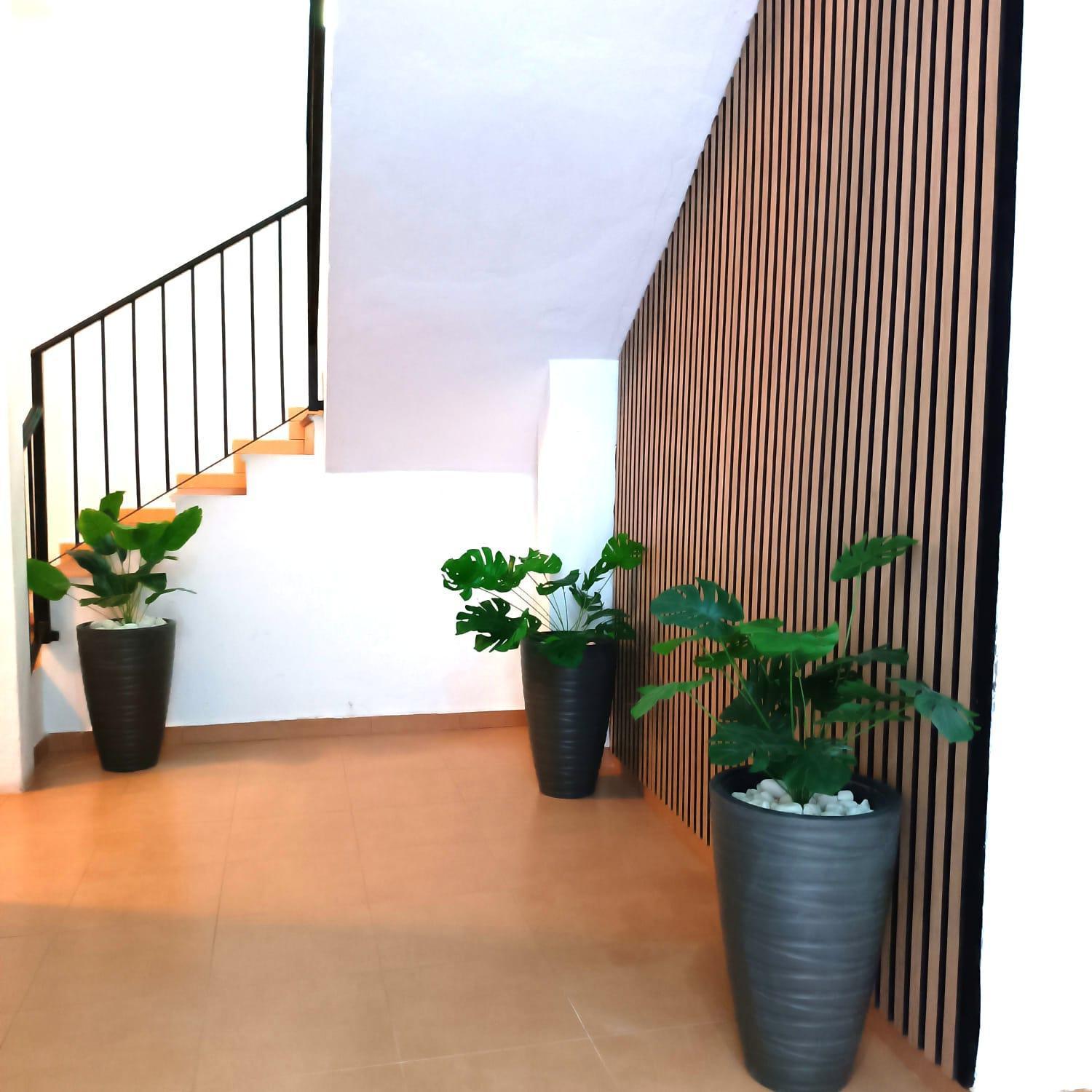 Apartamentos Duende 말라가 외부 사진